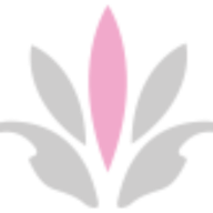 SA Wedding Decor logo
